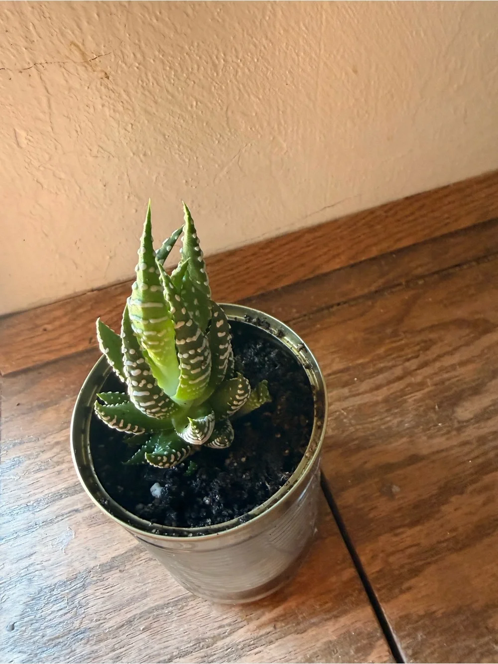N/A vibrant green